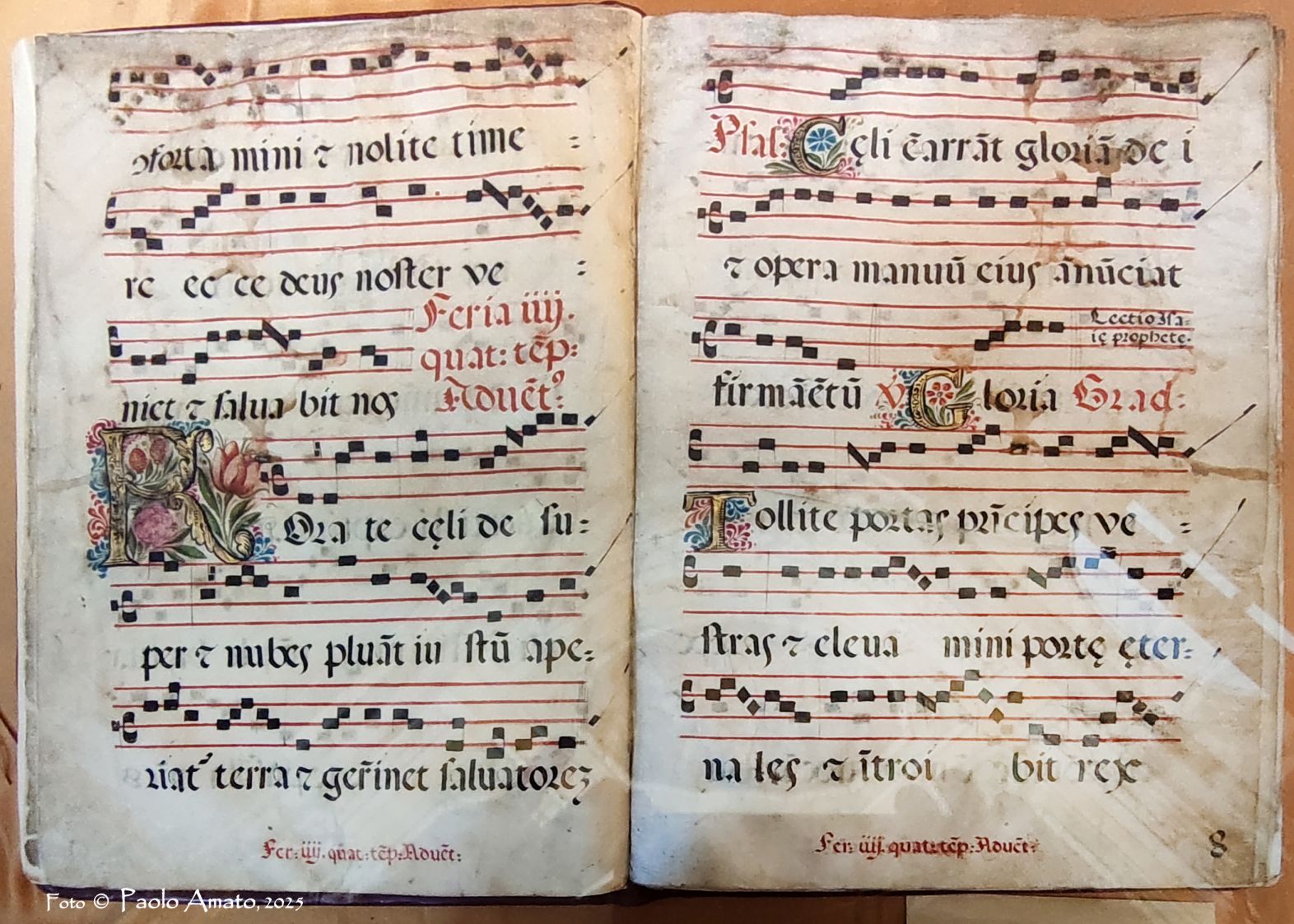 Visita alla Biblioteca Ursino Recupero